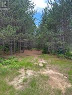 Trails Throughout Property - 