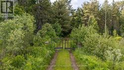 Gated Entrance to the Property off Paved Road - 