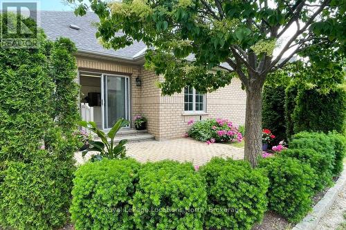 1 Wellford Gate, Brampton (Sandringham-Wellington), ON - Outdoor