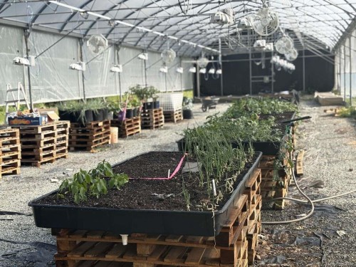 3700 River Rd, Chemainus, BC 