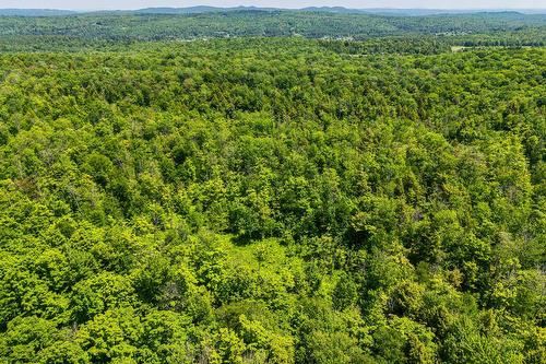 Photo aérienne - Rue Du Plateau, Magog, QC 