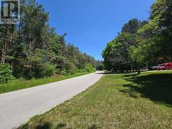 Potential to sever once services arrive! - 