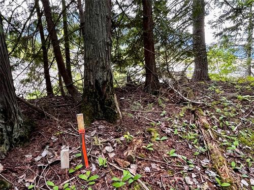 Lot A Mccormack Road, Burton, BC - Outdoor