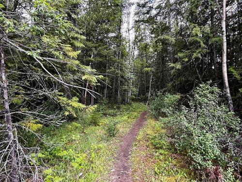 Lot A Mccormack Road, Burton, BC - Outdoor