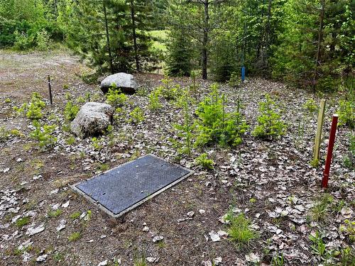 Lot A Mccormack Road, Burton, BC - Outdoor