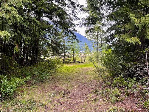 Lot A Mccormack Road, Burton, BC - Outdoor With View
