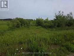 201 CON 2 SWTSR  Southgate, ON N0C 1B0