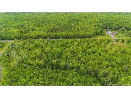 Lot 17-2 Collins Lake Rd, Shemogue, NB 
