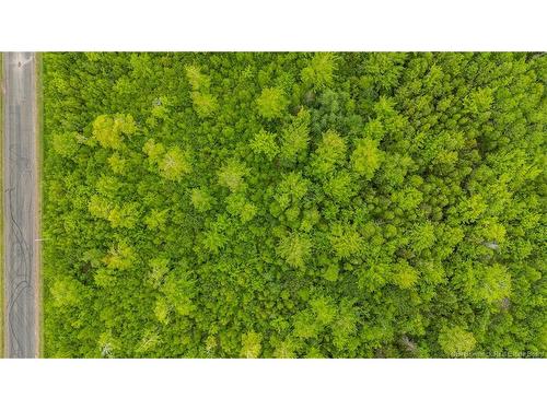 Lot 17-2 Collins Lake Rd, Shemogue, NB 