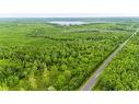 Lot 17-2 Collins Lake Rd, Shemogue, NB 
