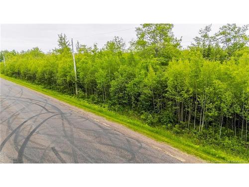 Lot 17-2 Collins Lake Rd, Shemogue, NB 
