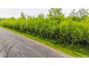 Lot 17-2 Collins Lake Rd, Shemogue, NB 