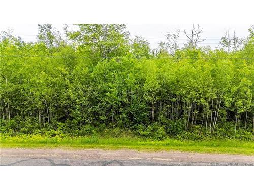 Lot 17-2 Collins Lake Rd, Shemogue, NB 