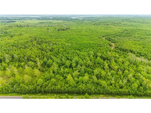 Lot 17-2 Collins Lake Rd, Shemogue, NB 