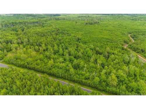 Lot 17-2 Collins Lake Rd, Shemogue, NB 