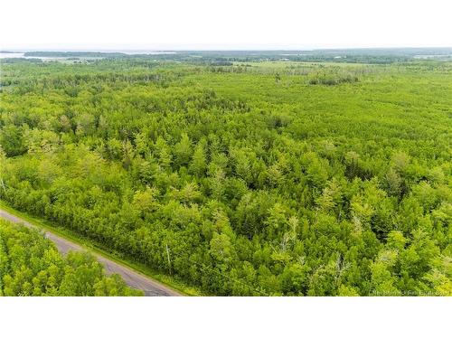Lot 17-2 Collins Lake Rd, Shemogue, NB 
