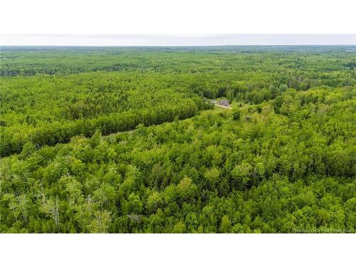 Lot 17-2 Collins Lake Rd, Shemogue, NB 