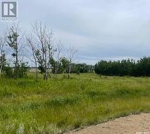 Lot 5 Viceroy ROAD  North Battleford Rm No. 437, SK S9A 0S6
