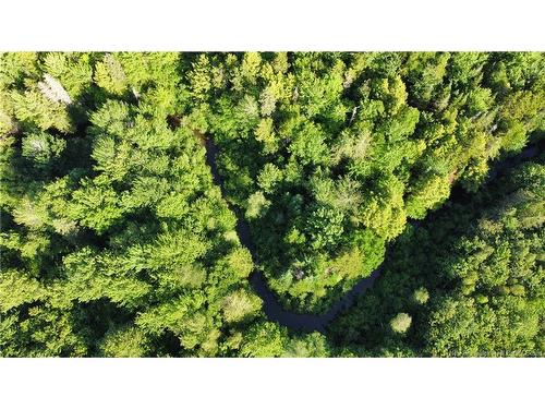 Lot 21-43 Orchard Ave, Irishtown, NB 