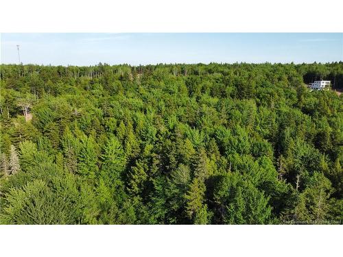 Lot 21-43 Orchard Ave, Irishtown, NB 