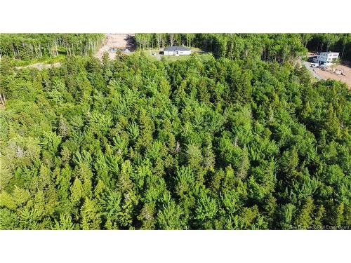 Lot 21-43 Orchard Ave, Irishtown, NB 
