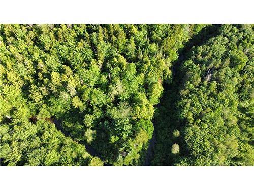 Lot 21-43 Orchard Ave, Irishtown, NB 