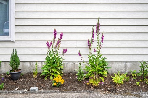 107-611 Macmillan Dr, Sayward, BC - Outdoor