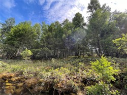 LOT 141 Coho Blvd  Mudge Island, BC V1V 1V1