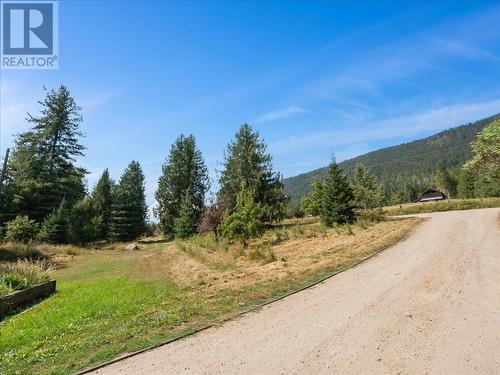 6172 Slocan River Road, Winlaw, BC - Outdoor With View