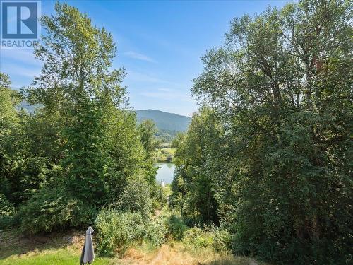 6172 Slocan River Road, Winlaw, BC - Outdoor With View