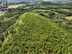 LOT 4 SAXTON LAKE ROAD  Prince George, BC V2K 5N2