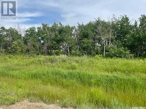 Lot 6 Viceroy Road, North Battleford Rm No. 437, SK 