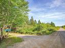 Lot 5A Hectanooga Road, Briar Lake, NS 