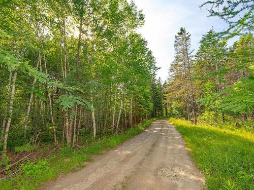 Lot 5A Hectanooga Road, Briar Lake, NS 