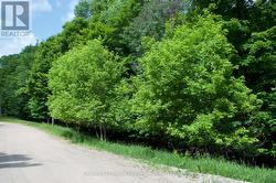 LOT 7 RIDGEVIEW ROAD  Dysart Et Al (Dysart), ON K0M 1S0