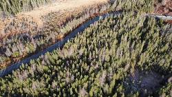 9-11 Terrys Road  Avondale, NL A0A 1B0