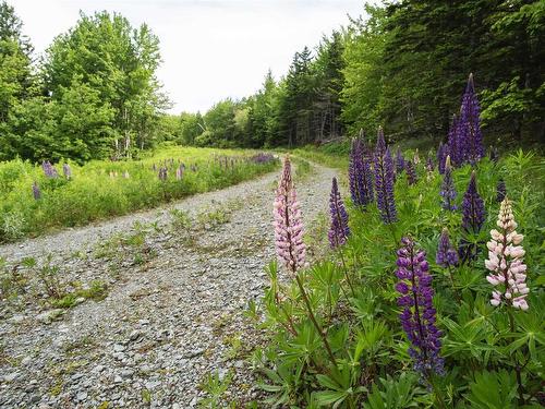 Highway 19, Glenville, NS 