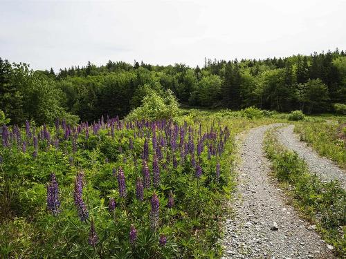Highway 19, Glenville, NS 