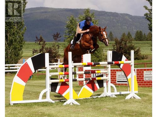 On the property - 910 Lumby Mabel Lake Road, Lumby, BC - Outdoor With View