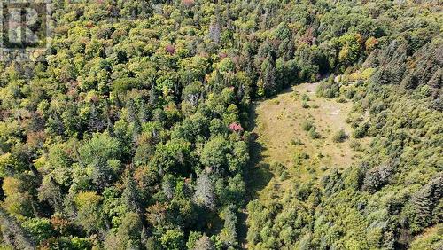 Pt Sec 37 & 38 Off Pickard Rd, Havilland, ON 