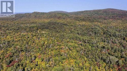 Pt Sec 37 & 38 Off Pickard Rd, Havilland, ON 