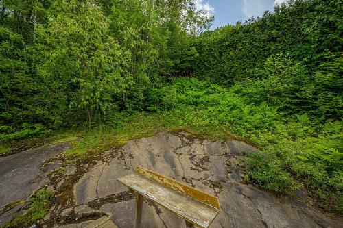 Cour - 726 Rue Du Muguet, Sainte-Agathe-Des-Monts, QC - Outdoor