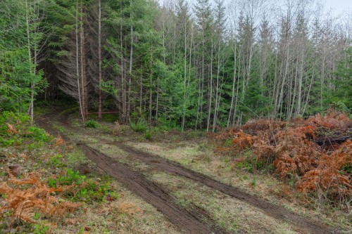 Lot 13 Longview Pl, Nanaimo, BC 