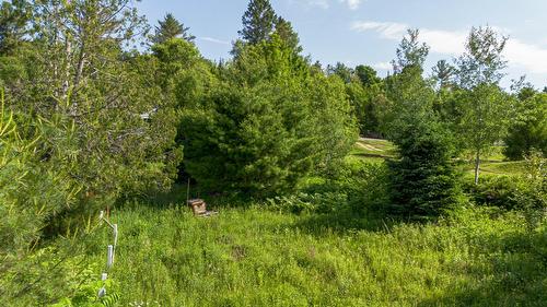 Terre/Terrain - Rue Ouimet, Val-David, QC 