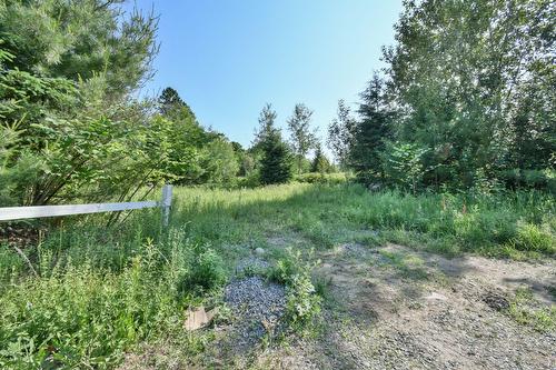 Terre/Terrain - Rue Ouimet, Val-David, QC 