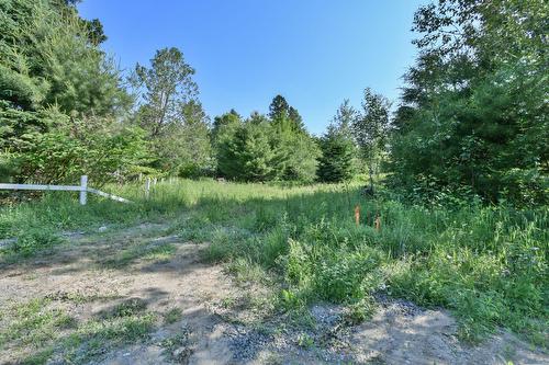 Terre/Terrain - Rue Ouimet, Val-David, QC 