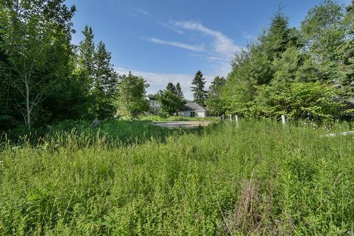 Land/Lot - Rue Ouimet, Val-David, QC 