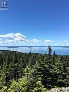 160-182 Moonlight Drive  Paradise, NL A1L 3V5