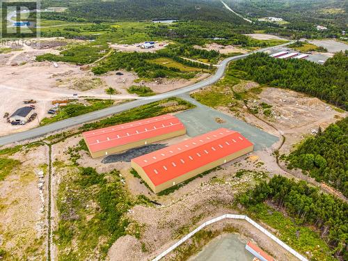 43 Horizon Drive, Holyrood, NL 