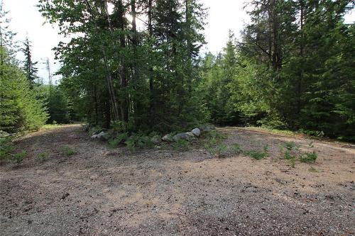 854 Alexander Road, Nakusp, BC 